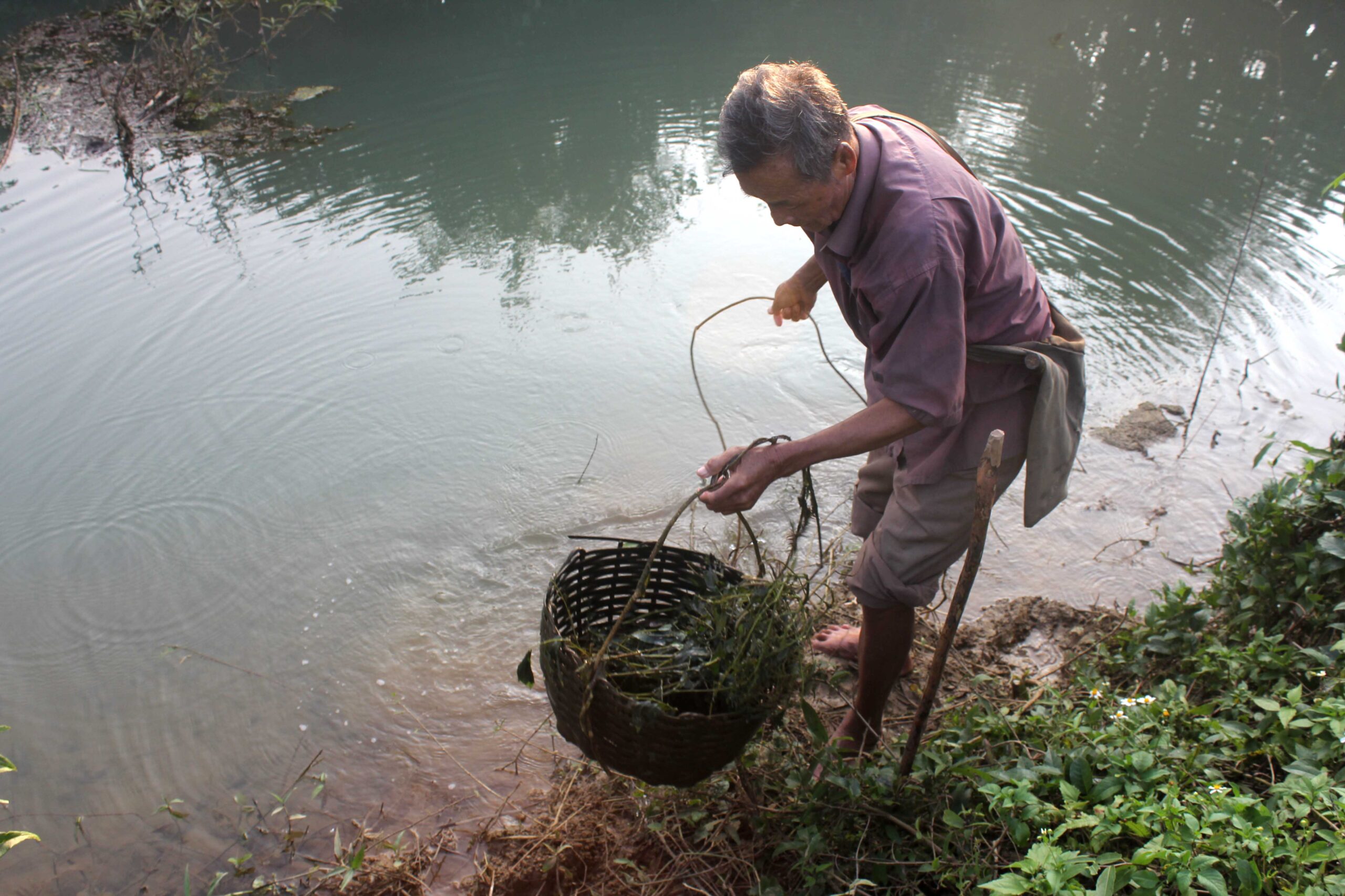 Chuyện kinh dị chưa từng tiết lộ về “hổ thần” khổng lồ ăn thịt mấy chục người dân ở Thanh Hóa khiến cả huyện kinh hồn bạt vía 1 1 scaled