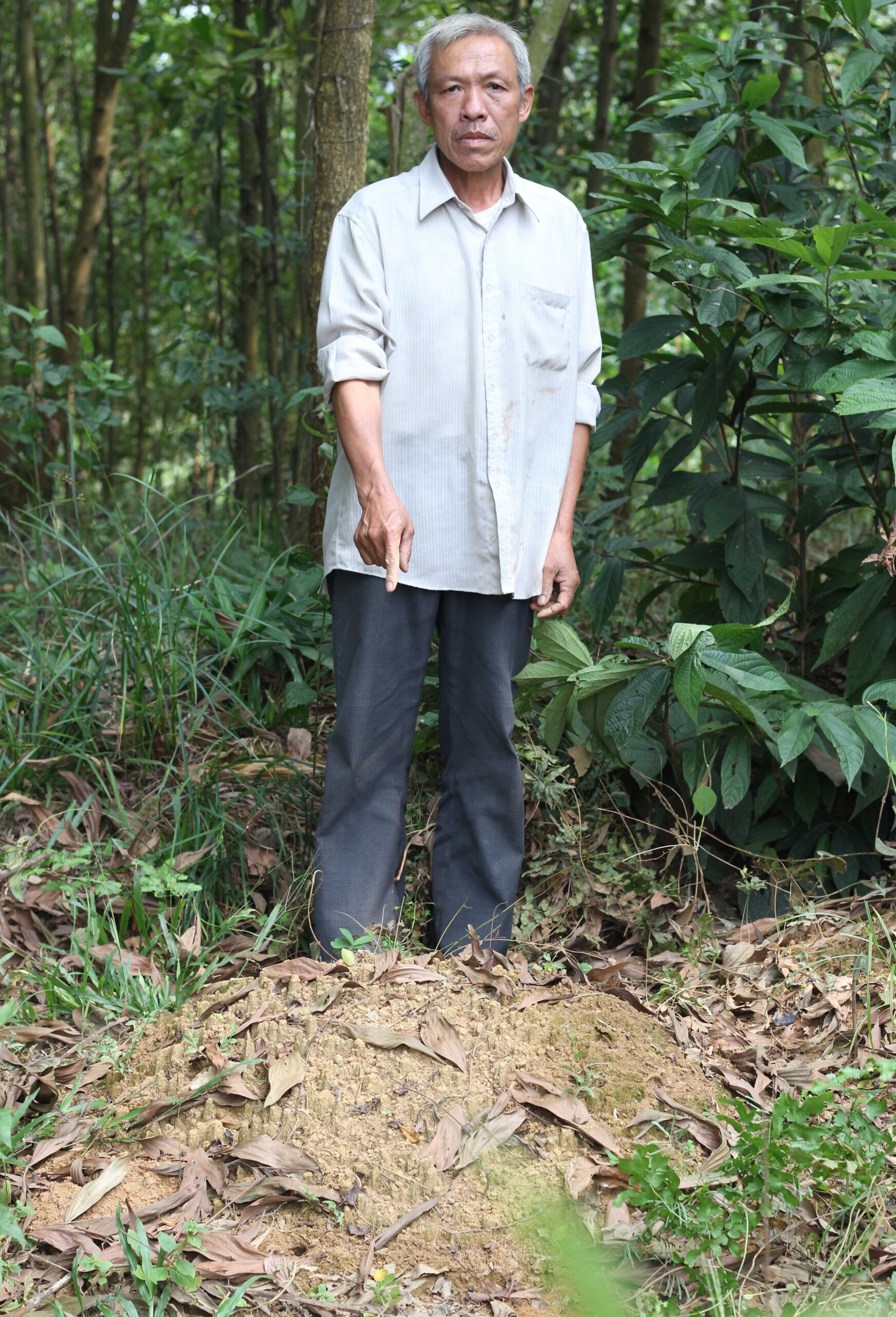 Thần hổ xám báo thù kinh khủng ở Thanh Hóa (kỳ 6 - kỳ cuối) 2 2 4 scaled