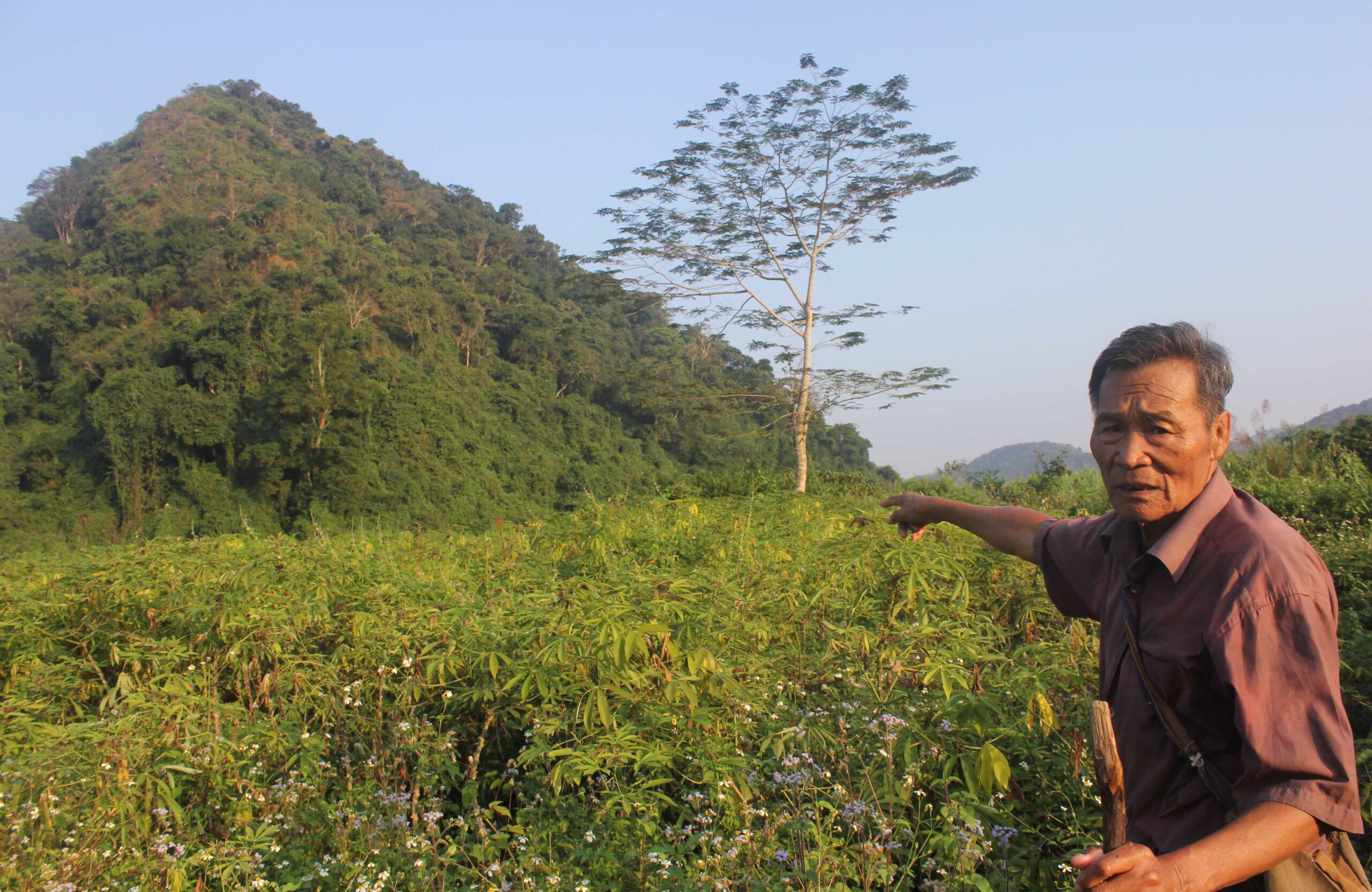 Chuyện kinh dị chưa từng tiết lộ về “hổ thần” khổng lồ ăn thịt mấy chục người dân ở Thanh Hóa khiến cả huyện kinh hồn bạt vía 3 3 scaled