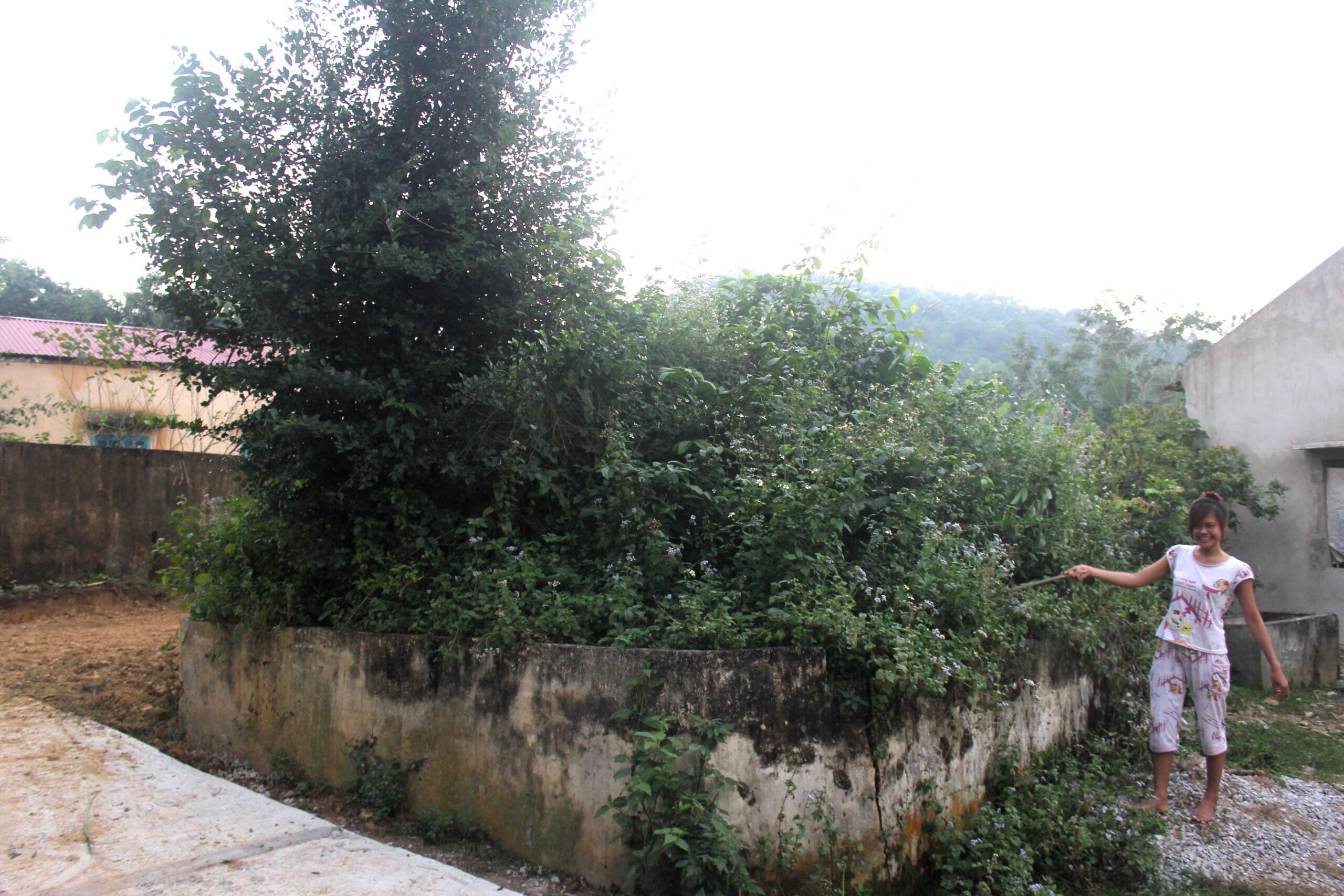 Bài 2: Sự trả thù điên cuồng của hồ xám khổng lồ ở khắp miền Tây Thanh Hóa 3 4 1 scaled