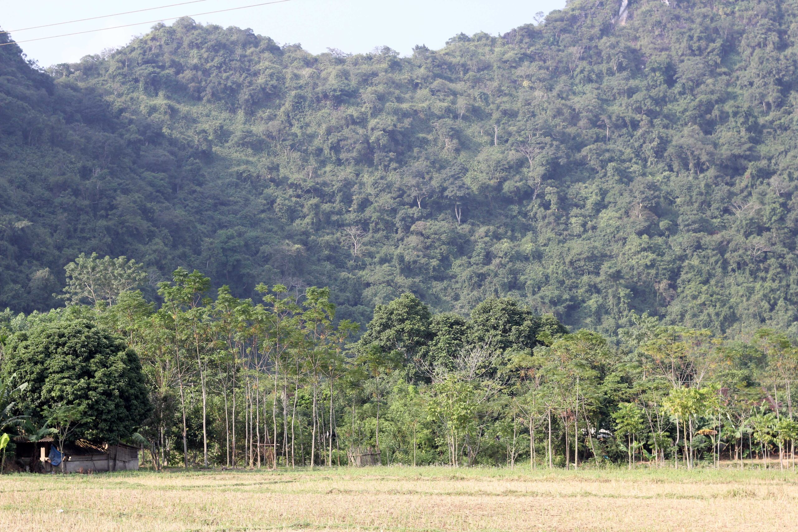 Chuyện kinh dị chưa từng tiết lộ về “hổ thần” khổng lồ ăn thịt mấy chục người dân ở Thanh Hóa khiến cả huyện kinh hồn bạt vía 4 4 scaled