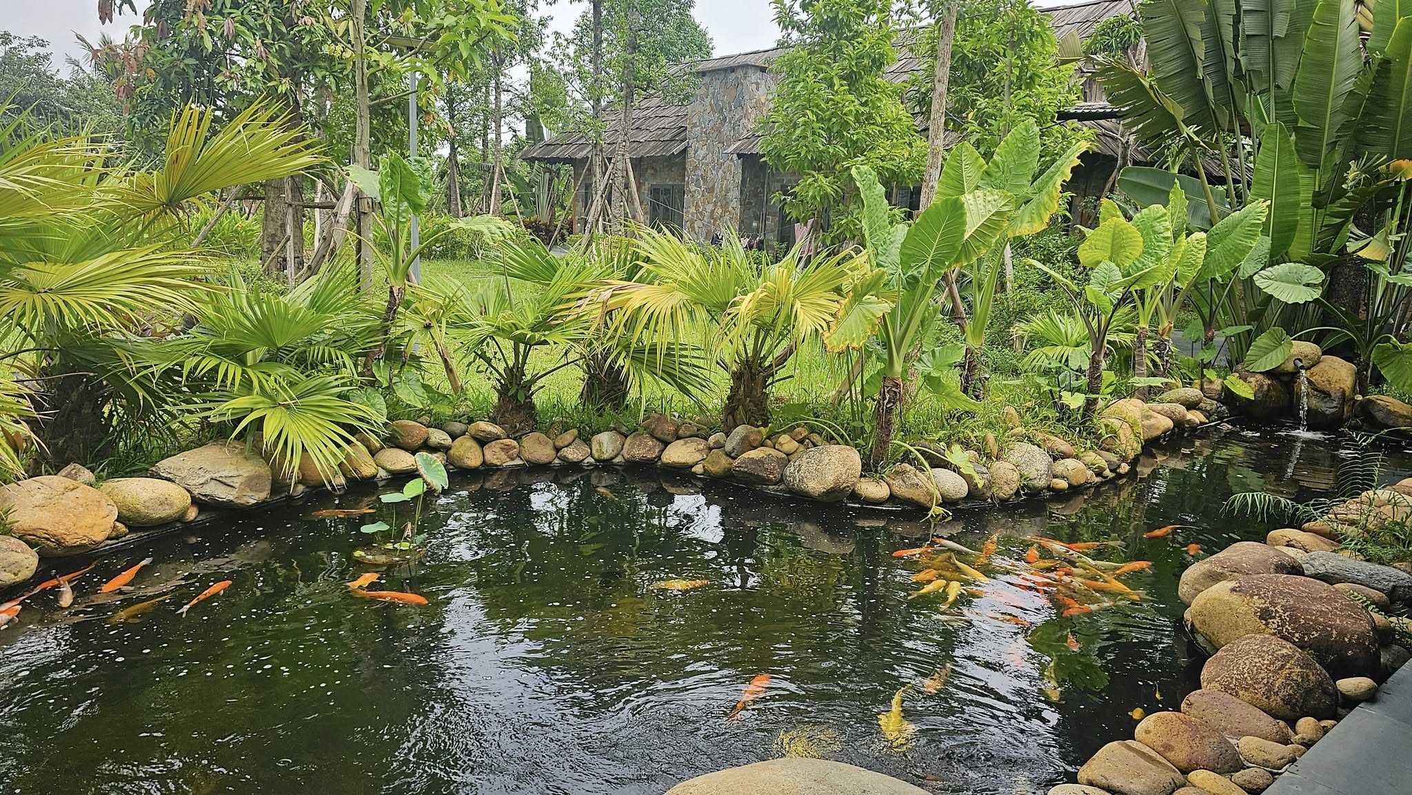 545036524 1328640545293070 7174204962132019618 n 1