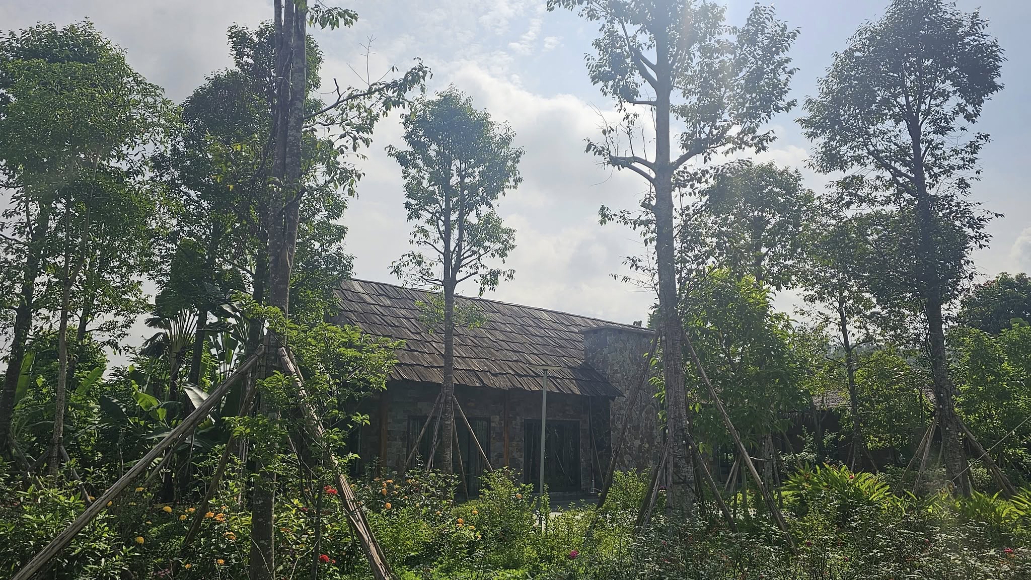 Quy cách trồng cây to - viết cho 3 vạn 9 ngàn ông đọc 25 545577488 1328640295293095 7465699565562515227 n 1