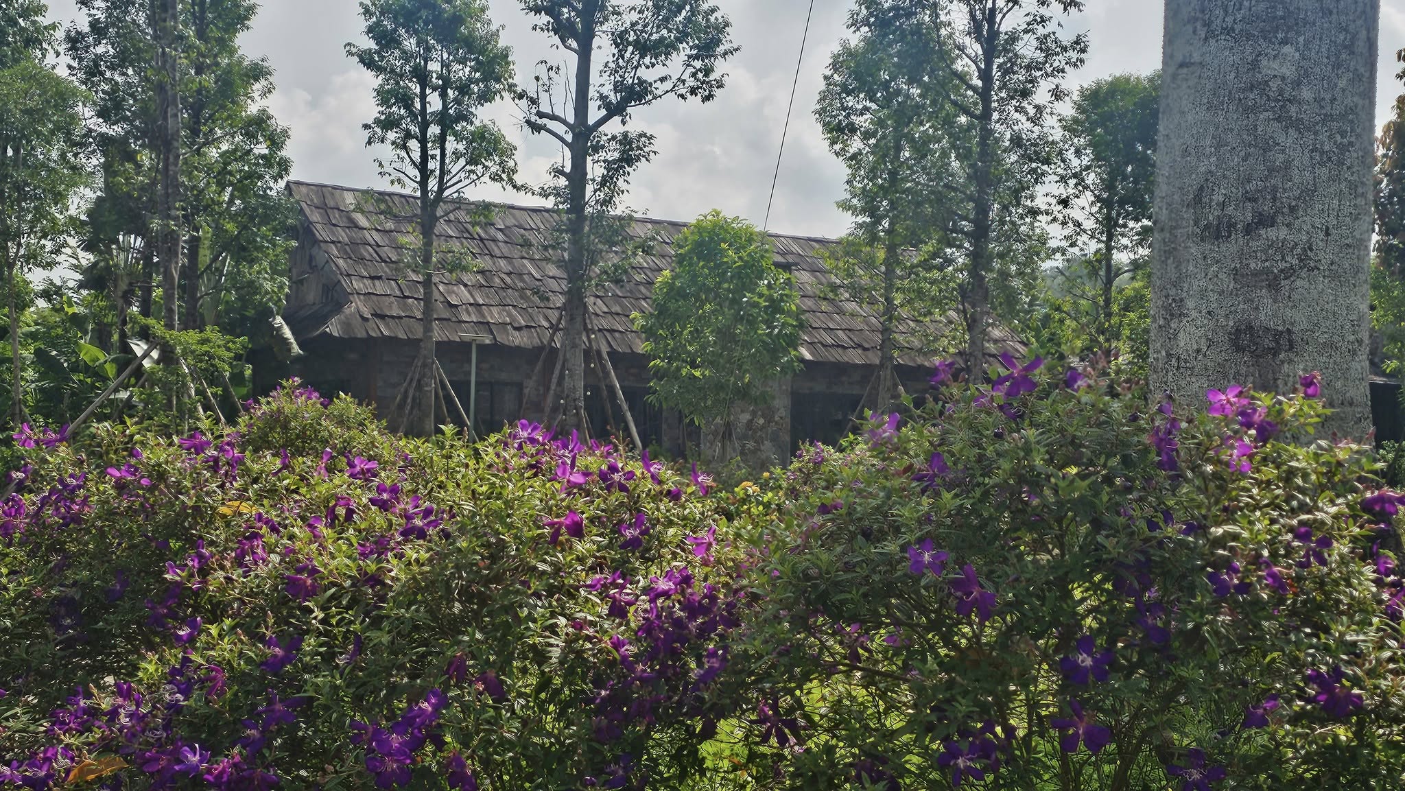 546489918 1328640381959753 3970863218419112140 n 1