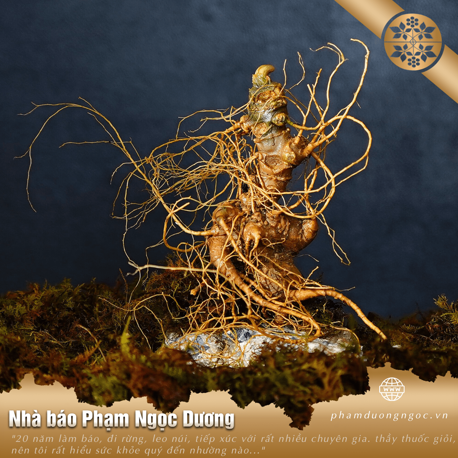 Sâm việt nam 4 6 min