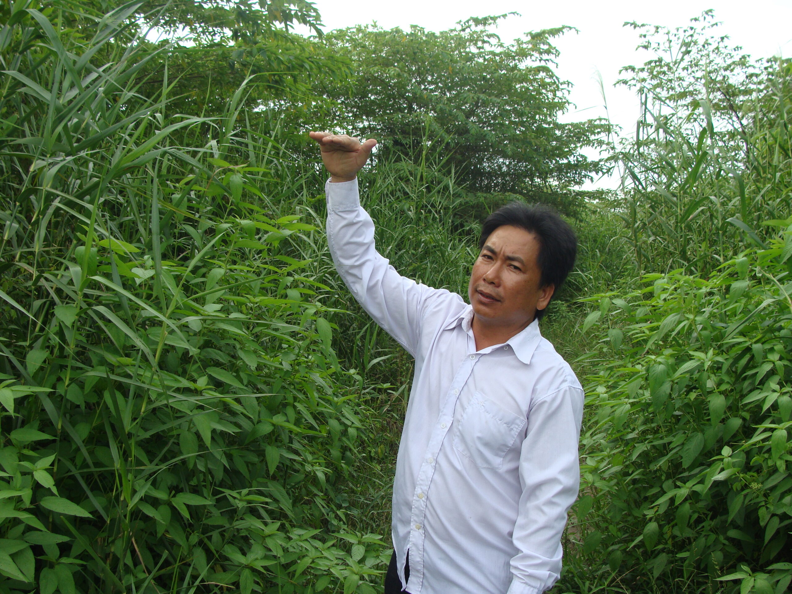 Anh Tuan ta canh con ran ho may cat dau khoi mat dat scaled