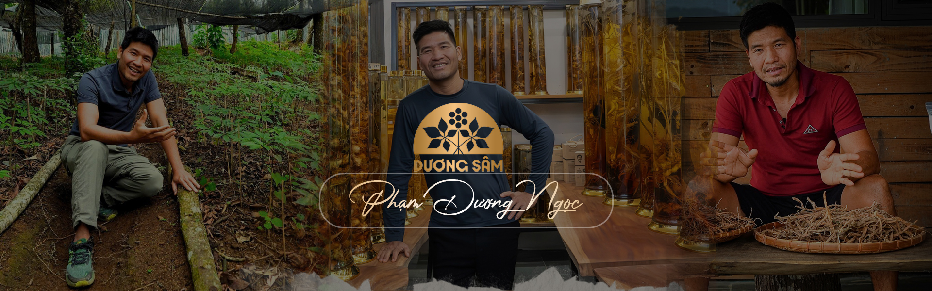 slider phamduongngoc